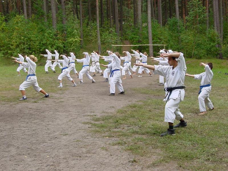 Heian Yodan 2.jpg